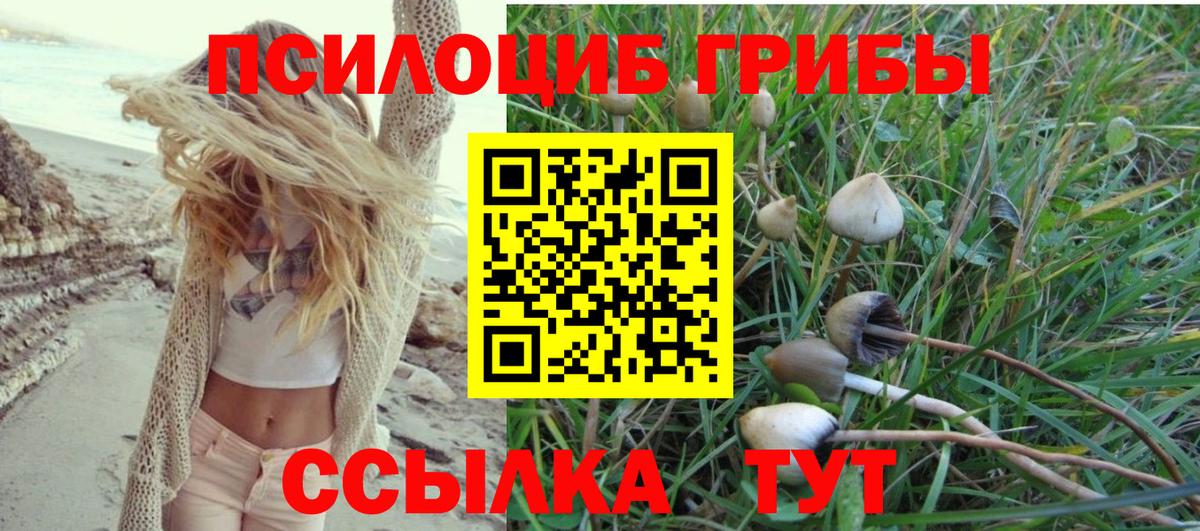 Галлюциногенные грибы Magic Shrooms Новокубанск