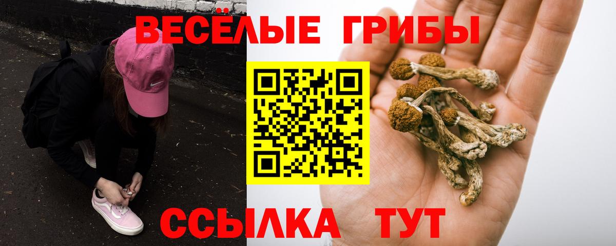 Галлюциногенные грибы MAGIC MUSHROOMS  Галлюциногенные грибы Psilocybine cubensis  наркота  Вход с VPN  Новокубанск 